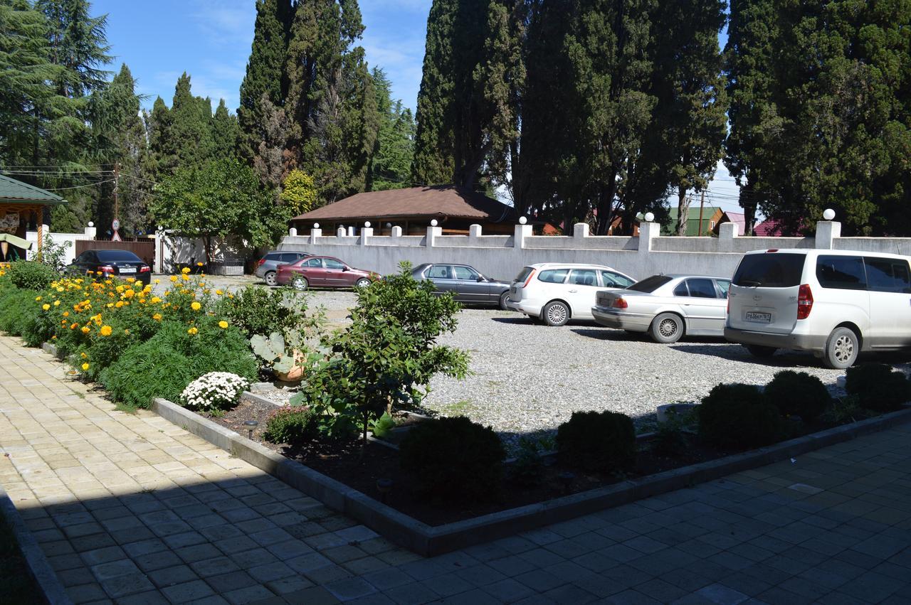 Hotel Kiparis Pizunda Esterno foto